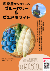 8月5日の野菜販売はブルーベリー＆ピュアホワイト（とうもろこし）